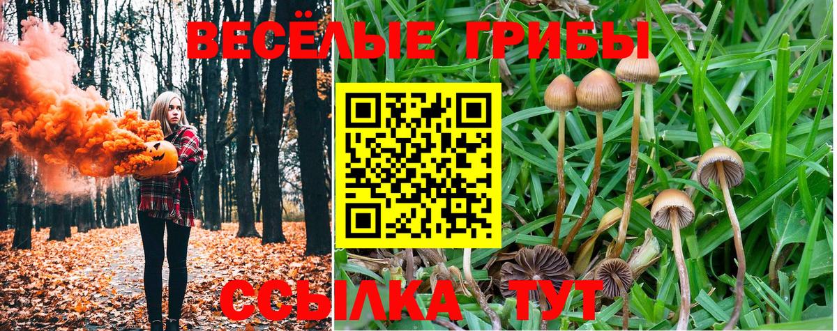 Галлюциногенные грибы Psilocybine cubensis Качканар